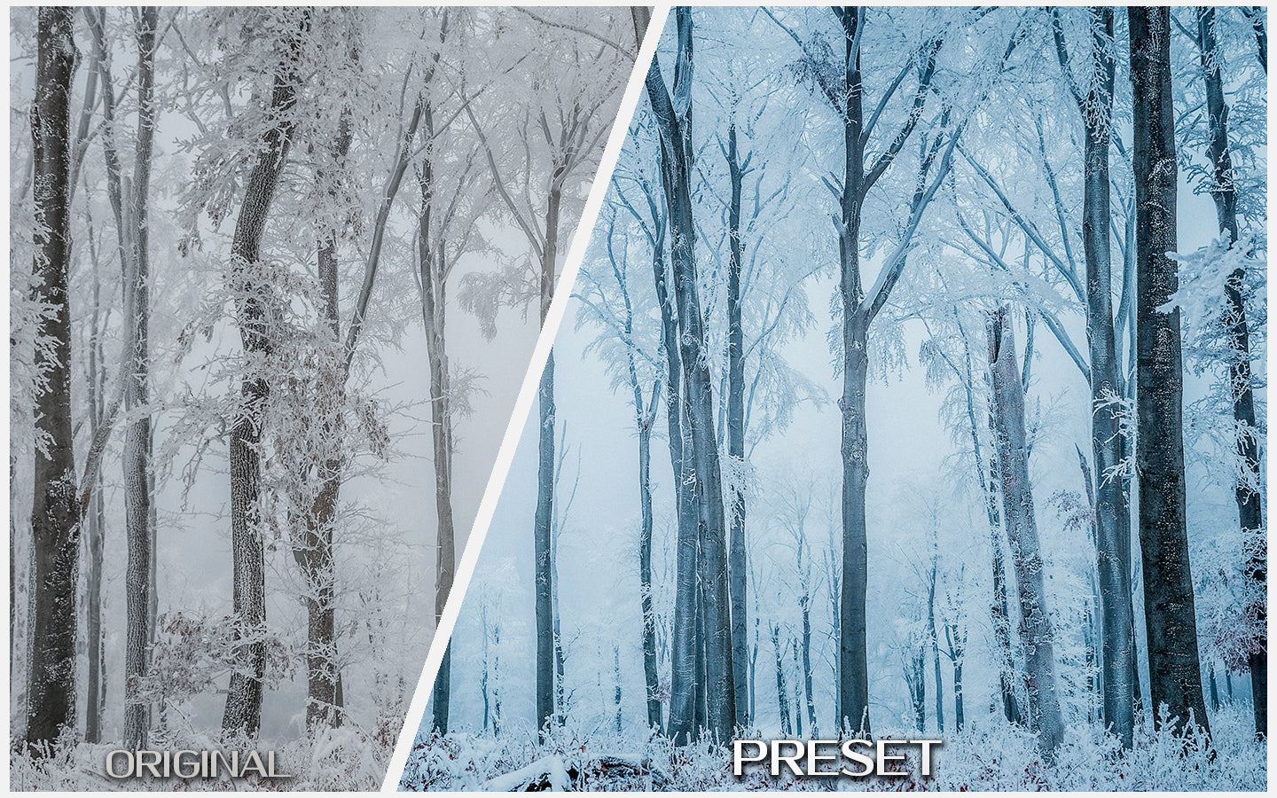 Crisp Frost