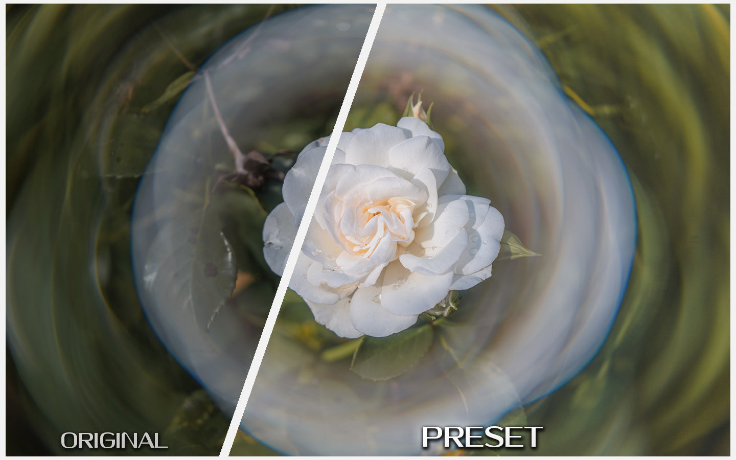 Bloom & Pastel