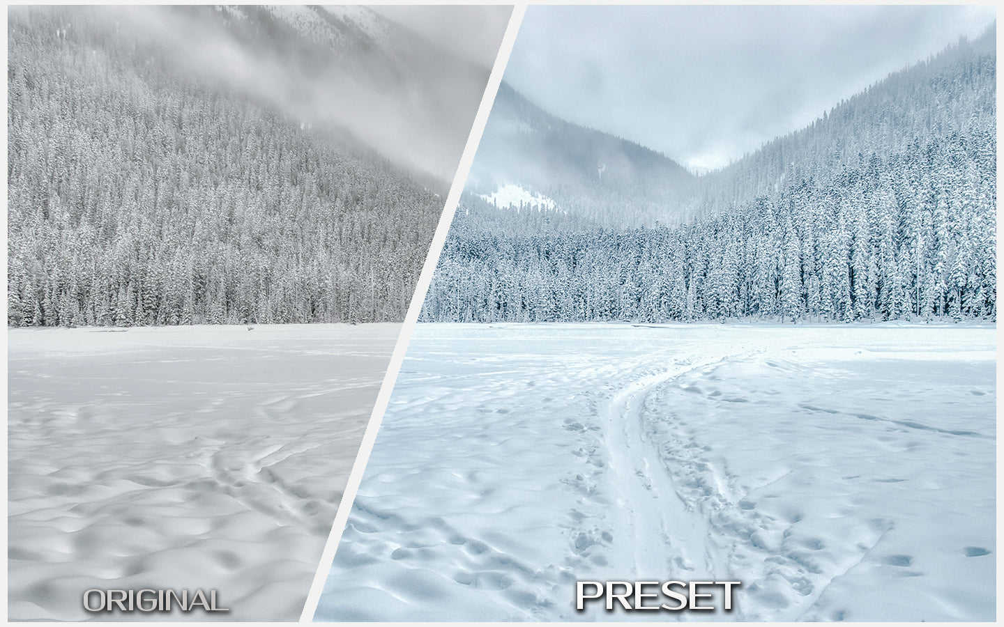 Crisp Frost