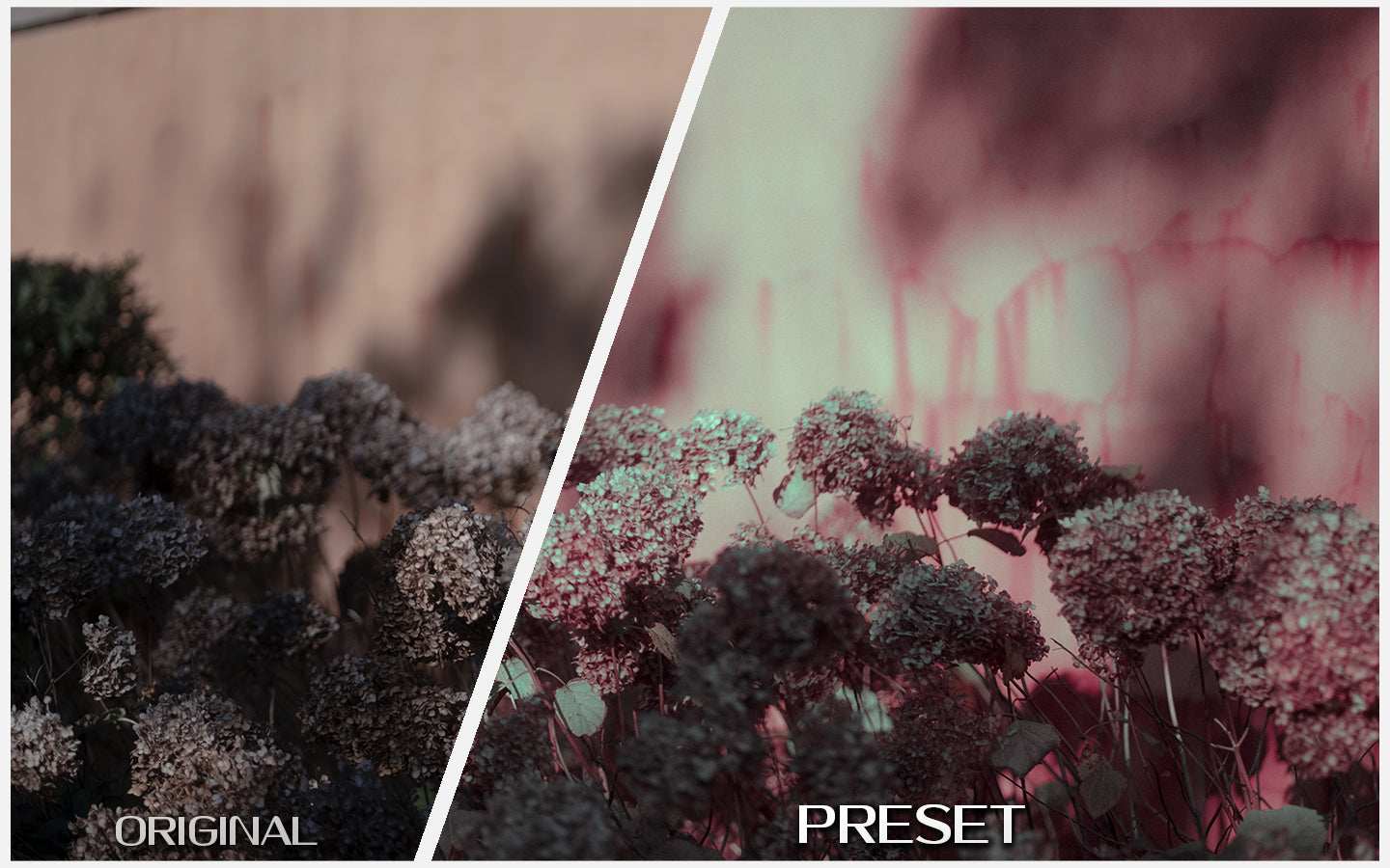 Soft Pastel & Dreamy