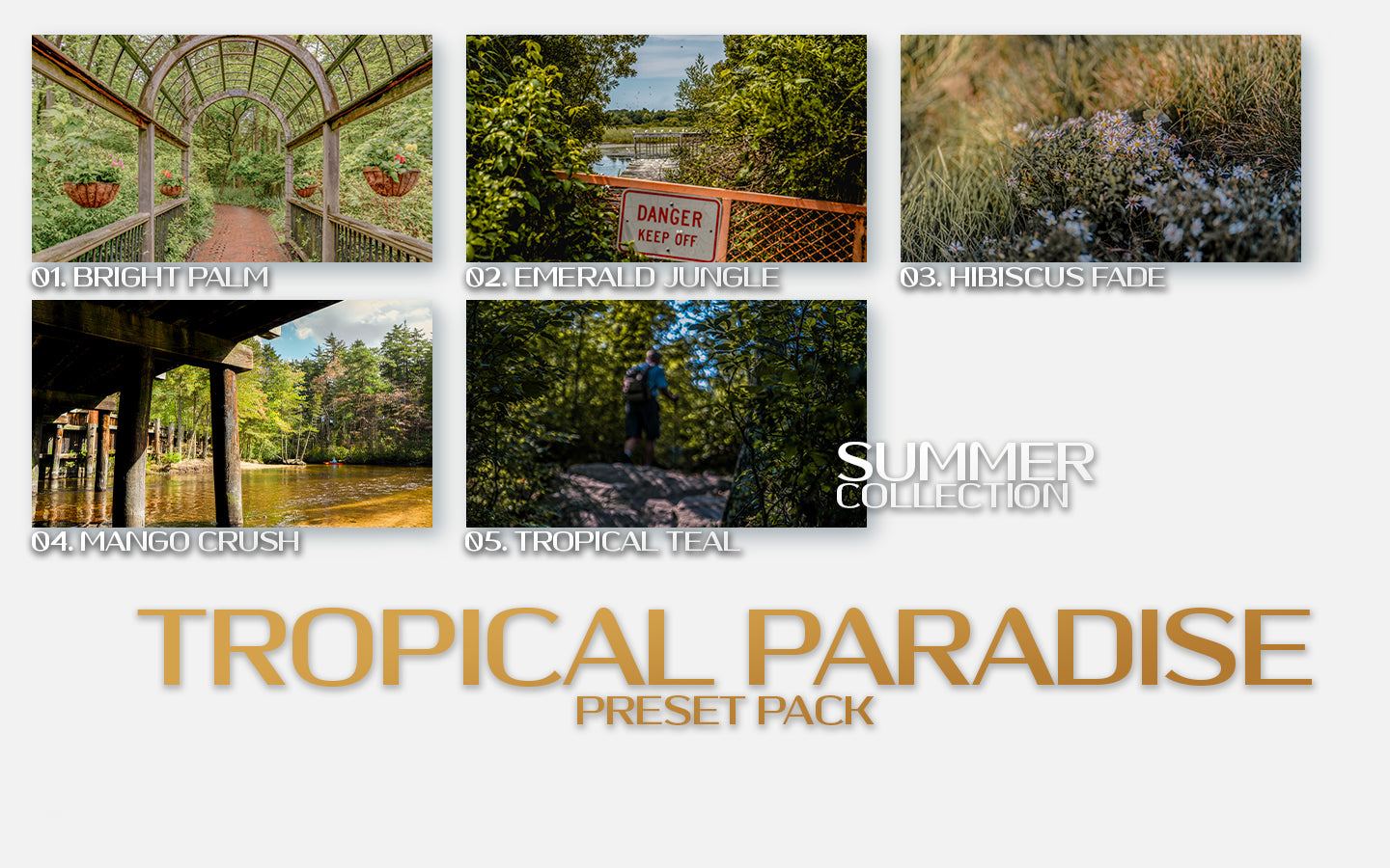 Tropical Paradise