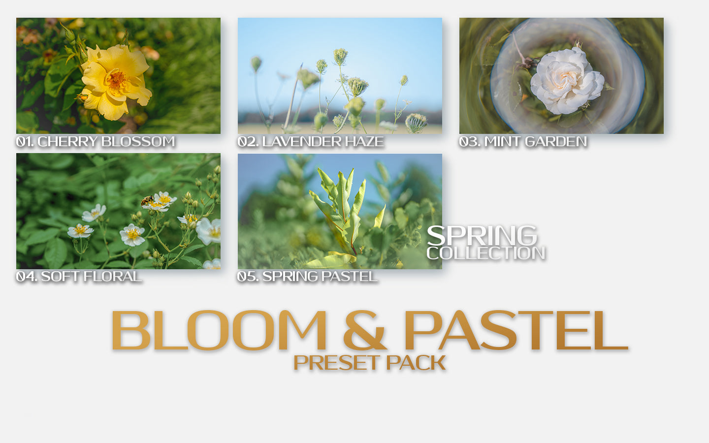 Bloom & Pastel