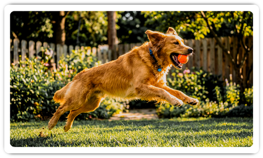 Why Pet Businesses Have the Highest Conversion Rates in Any Industry - and How Visual Branding Unlocks Them