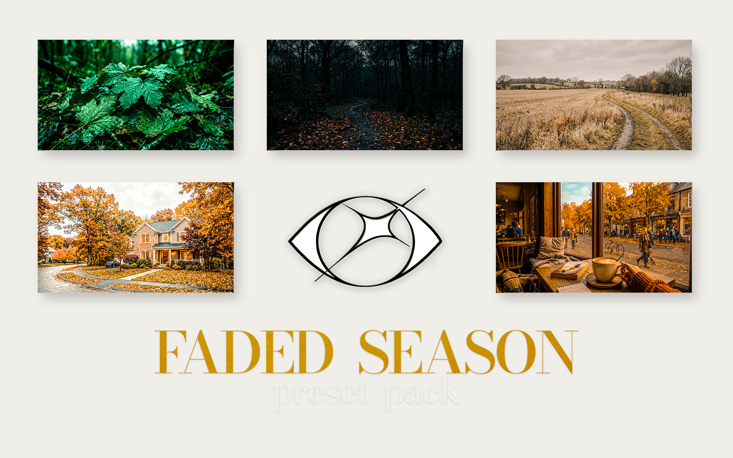 Faded Season