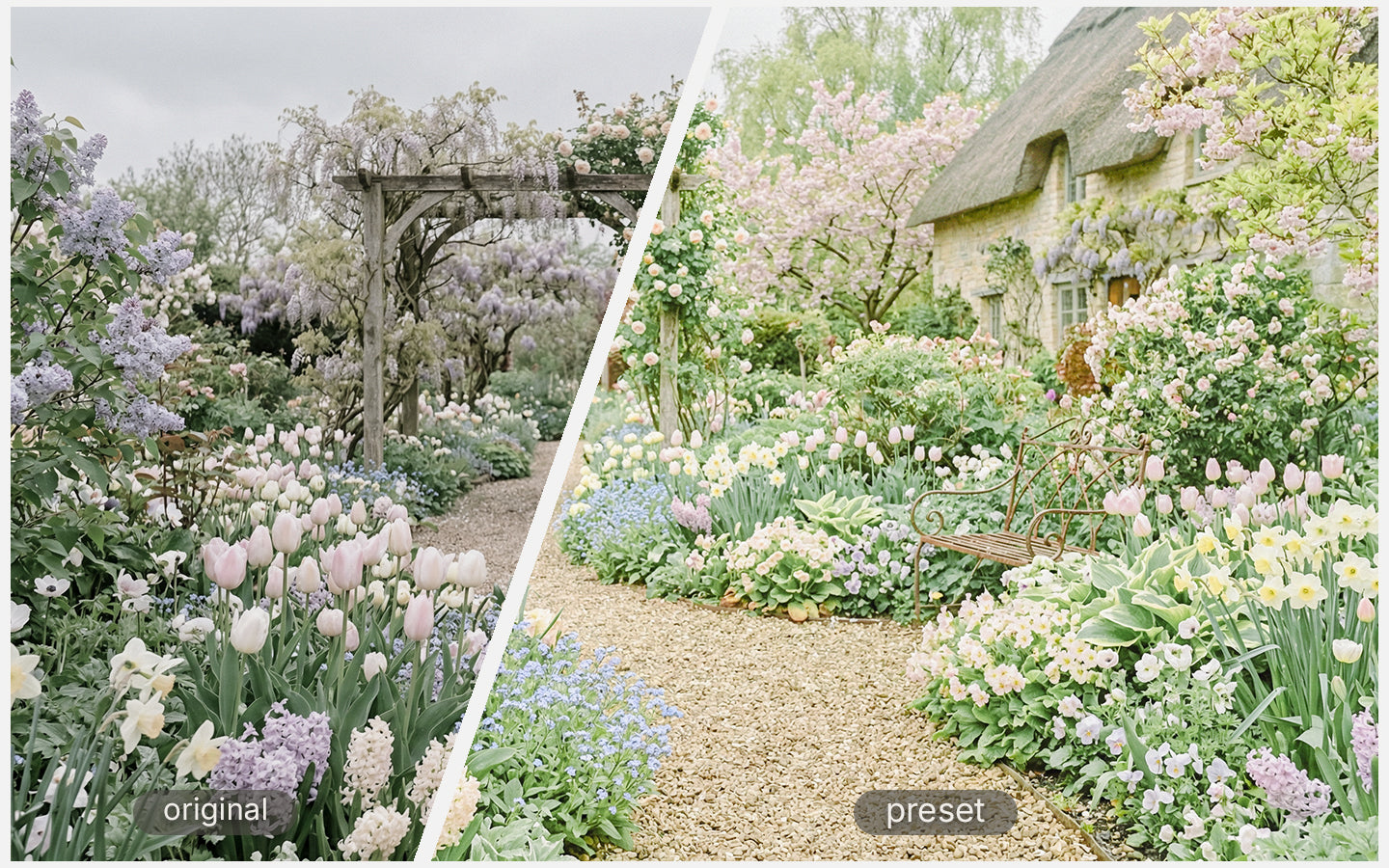 Pale Garden