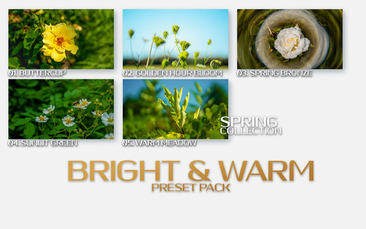   Bright & Warm