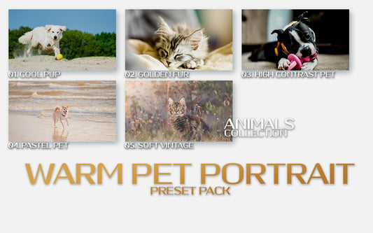   Warm Pet Portraits