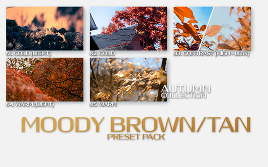   Moody Brown/Tan