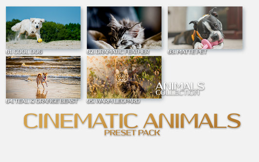   Cinematic Animal