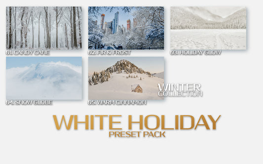   White Holiday