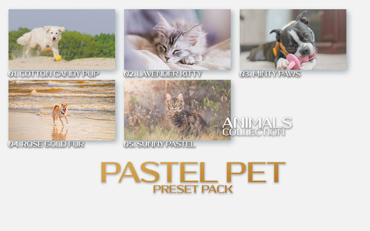  Pastel Pet