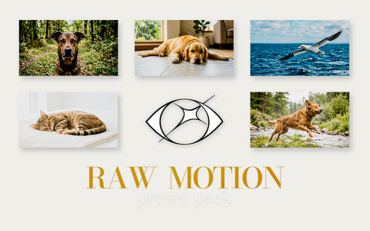 Raw Motion