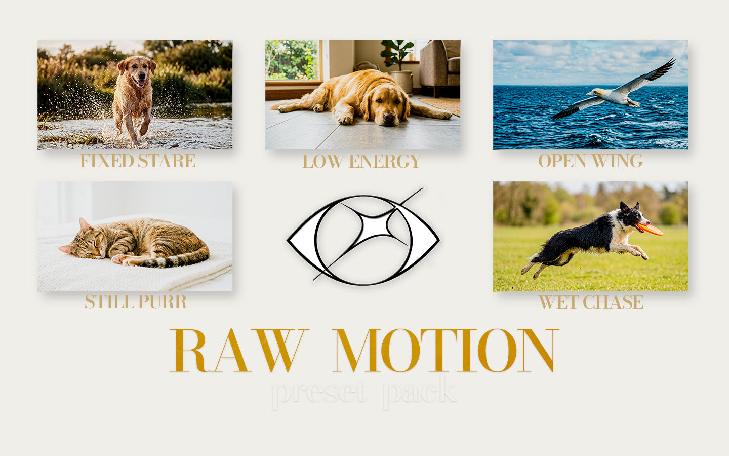 Raw Motion