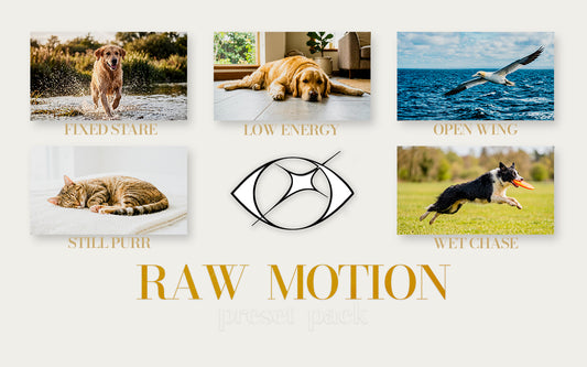 Raw Motion