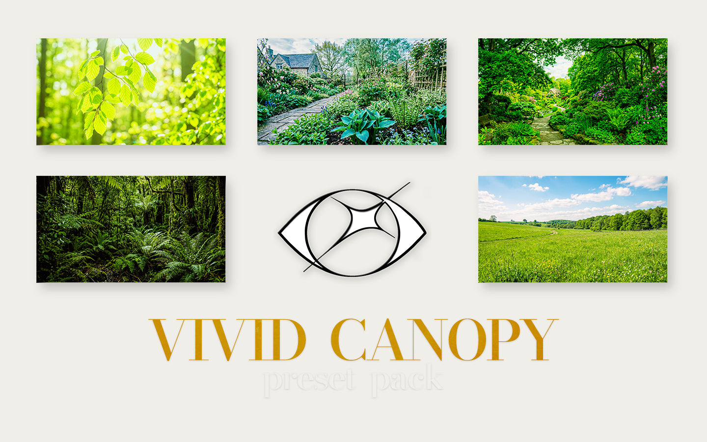Vivid Canopy