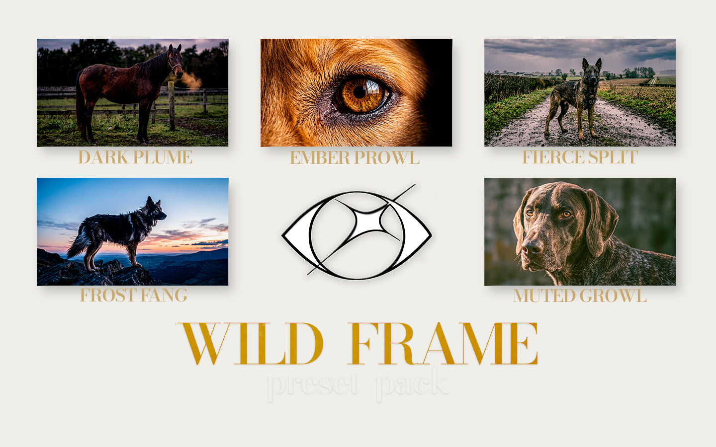 Wild Frame
